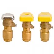 Category R&R Two-Piece Quick Coupling Valves image